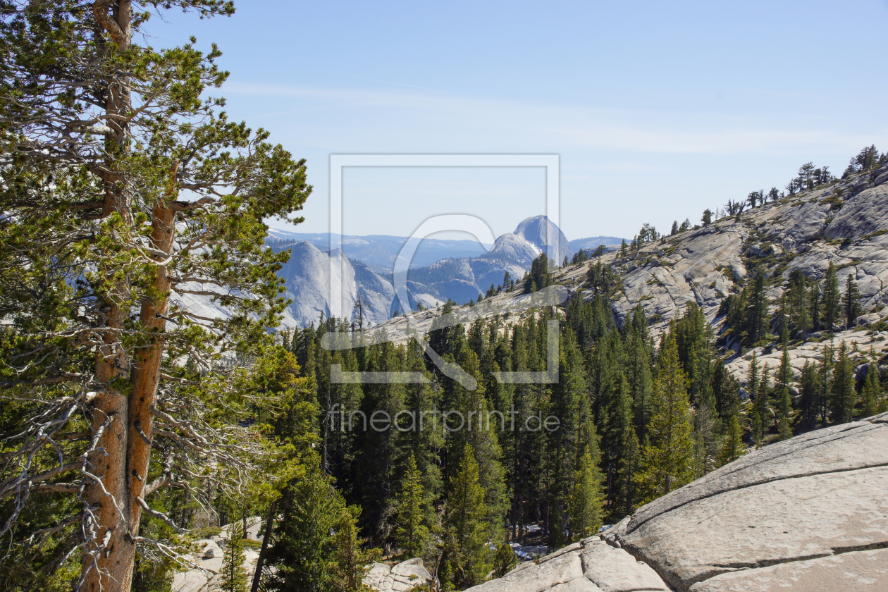 Bild-Nr.: 11864746 Irgendwo im Yosemite-Nationalpark erstellt von eMBie