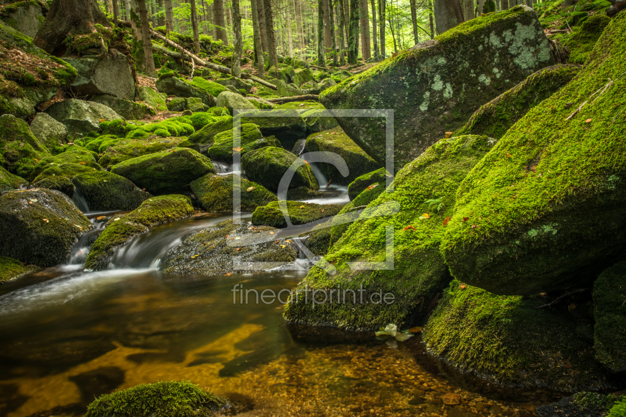 Bild-Nr.: 11865200 Grüner Wald erstellt von luxpediation