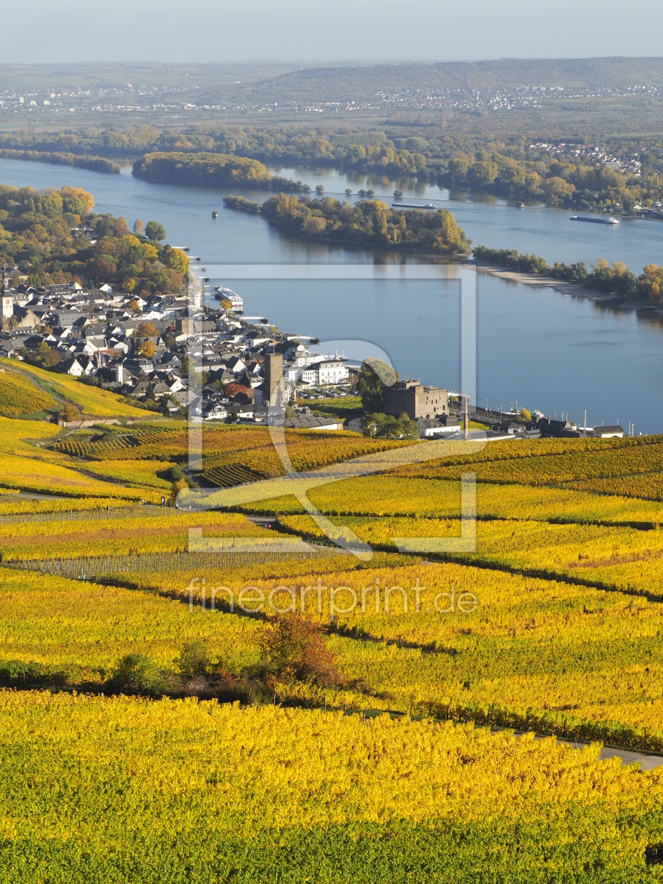 Bild-Nr.: 11865303 Blick auf Rüdesheim und den Rhein im Herbst erstellt von Stefan Zimmermann