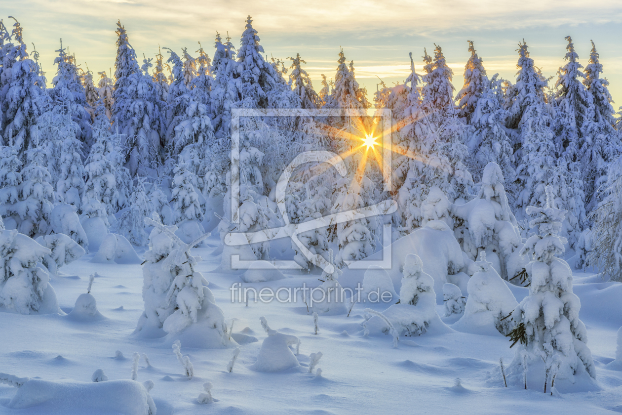 Bild-Nr.: 11865317 Schneelandschaft im Erzgebirge erstellt von Daniela Beyer