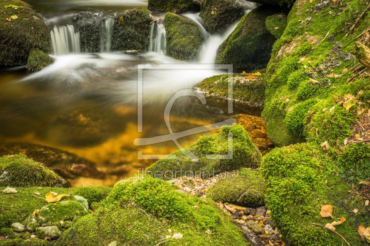 Bild-Nr.: 11865650 Natur Wildnis Wasser erstellt von luxpediation