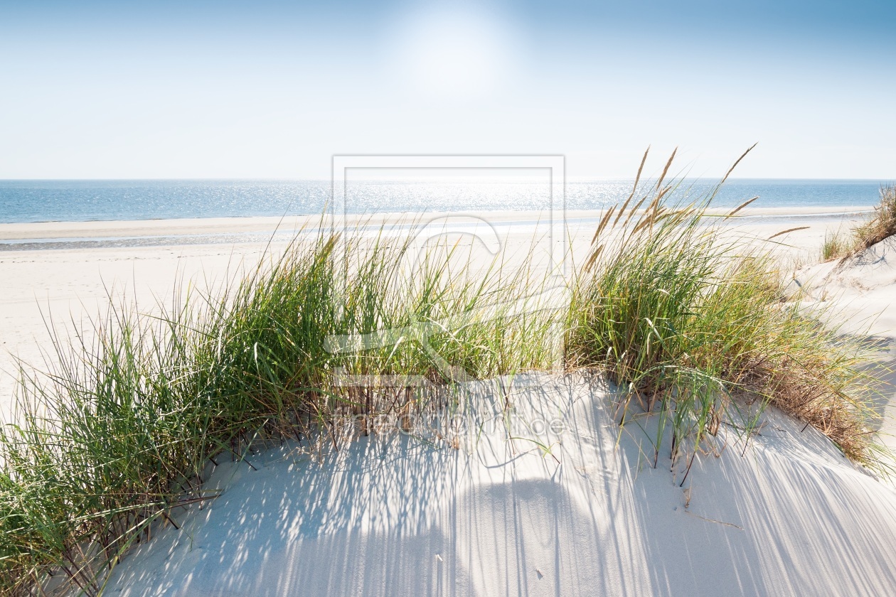 Bild-Nr.: 11867108 Sommer am Nordseestrand erstellt von Reiner Würz