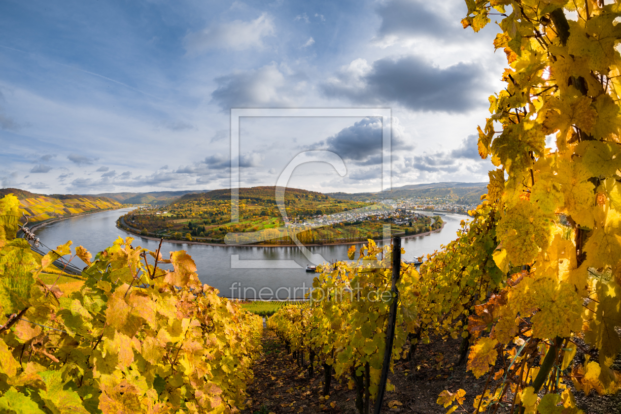 Bild-Nr.: 11867164 Herbst im Mittelrheintal erstellt von Richard-Young