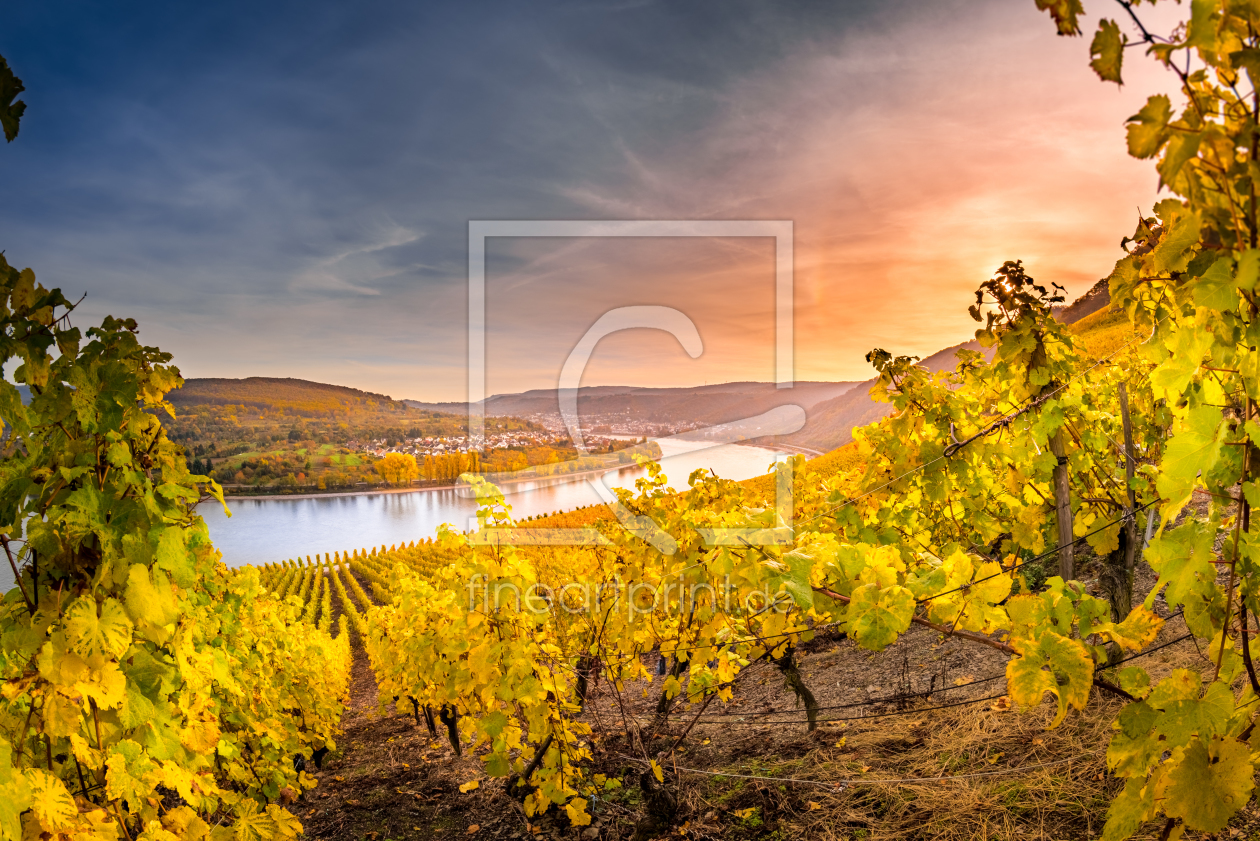 Bild-Nr.: 11867253 Herbst im Mittelrheintal erstellt von Richard-Young