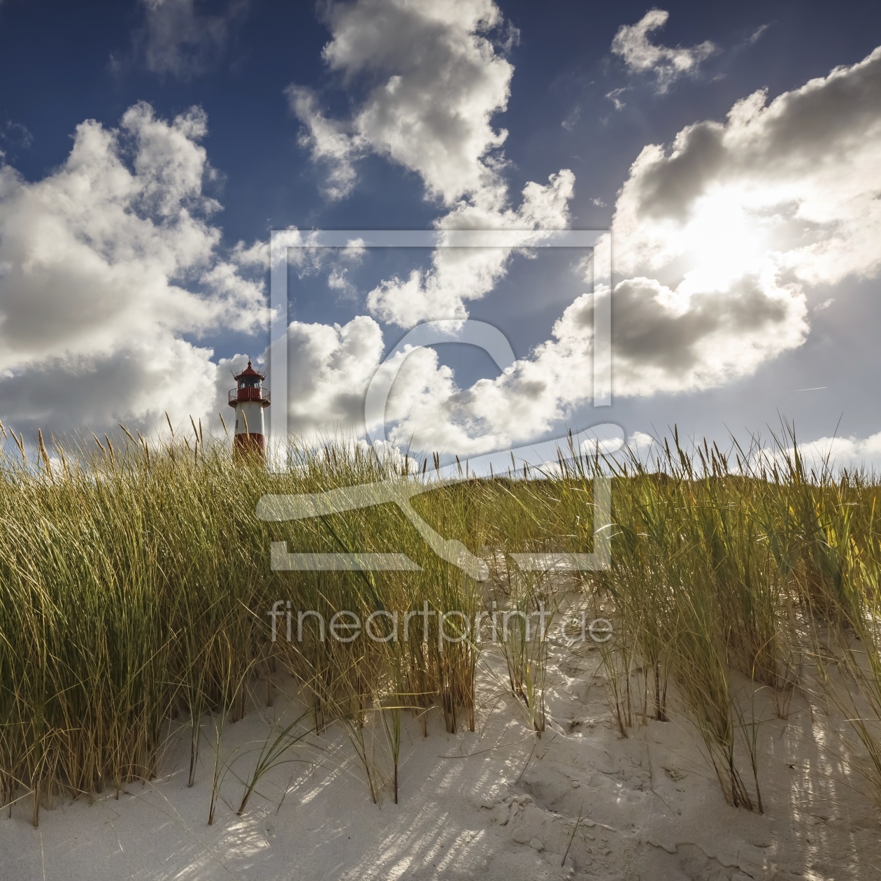 Bild-Nr.: 11867428 Sylt im Sommerwind erstellt von Ursula Reins