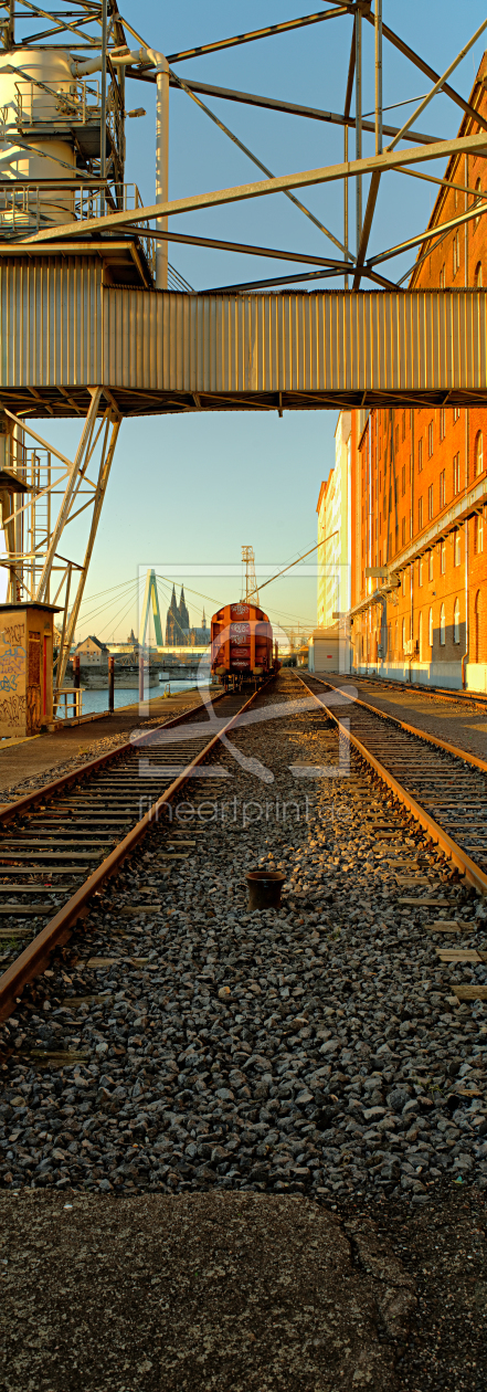 Bild-Nr.: 11867588 Köln Rheinauhafen Panorama erstellt von Rolf Eschbach