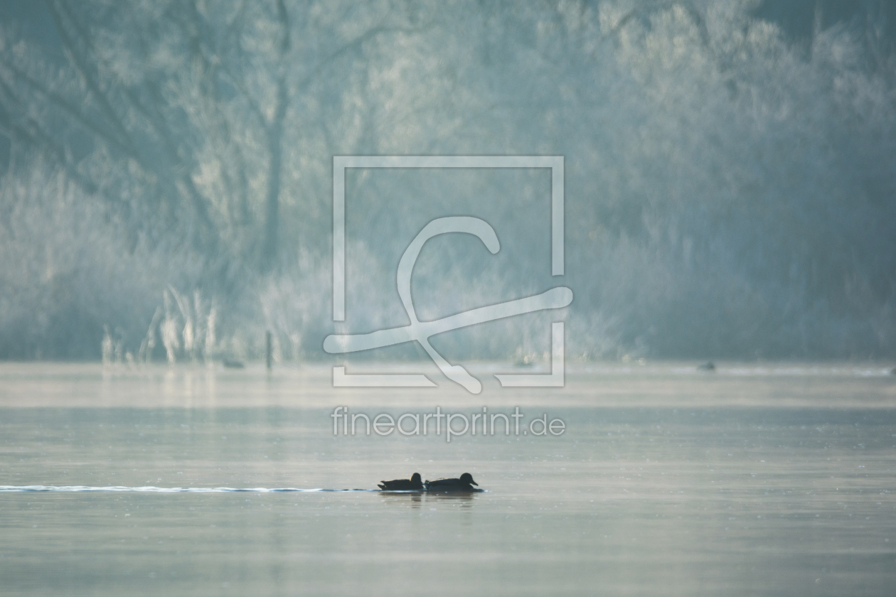 Bild-Nr.: 11867998 Morgen am See - Winter Idylle erstellt von luxpediation