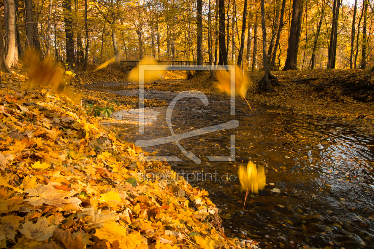 Bild-Nr.: 11868022 Herbst am Fluss erstellt von Harry-Hennington