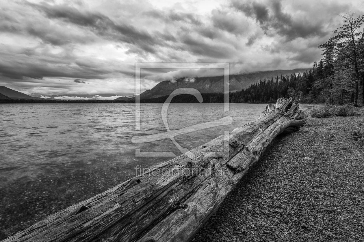 Bild-Nr.: 11868335 Am Lake McDonald - Glacier NP erstellt von TomKli