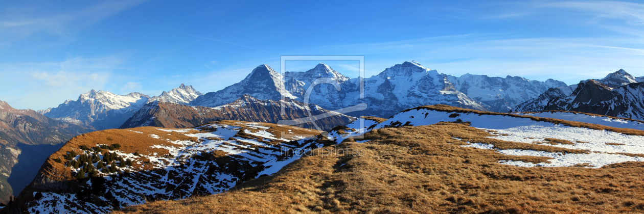 Bild-Nr.: 11868538 Berner Oberland Panorama erstellt von Gerhard Albicker