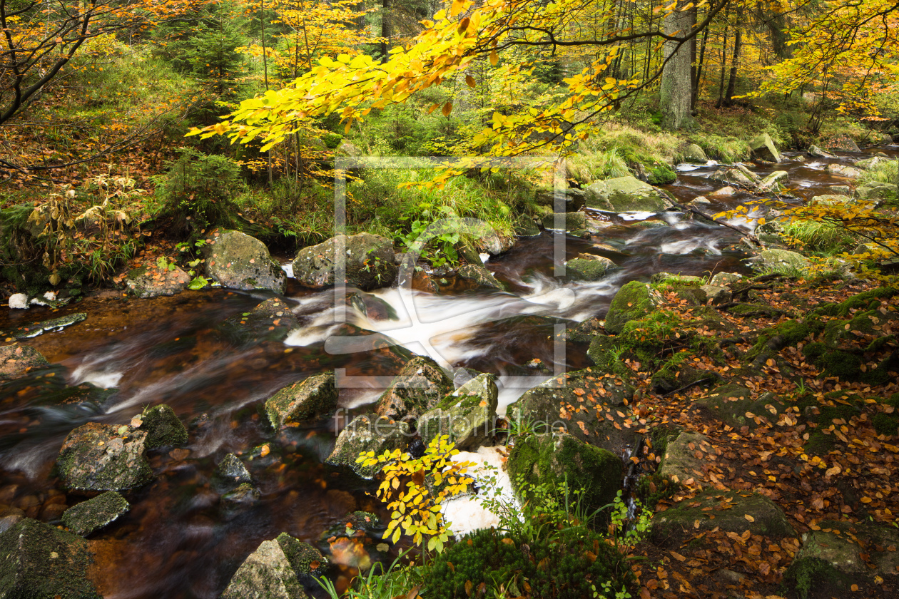 Bild-Nr.: 11869476 Bergbach im Herbst erstellt von Marcus-Grabe