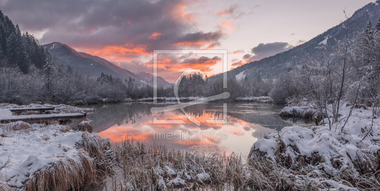 Bild-Nr.: 11869929 Abendrot im winterlichen Naturschutzgebiet Zelenci erstellt von Graphitone