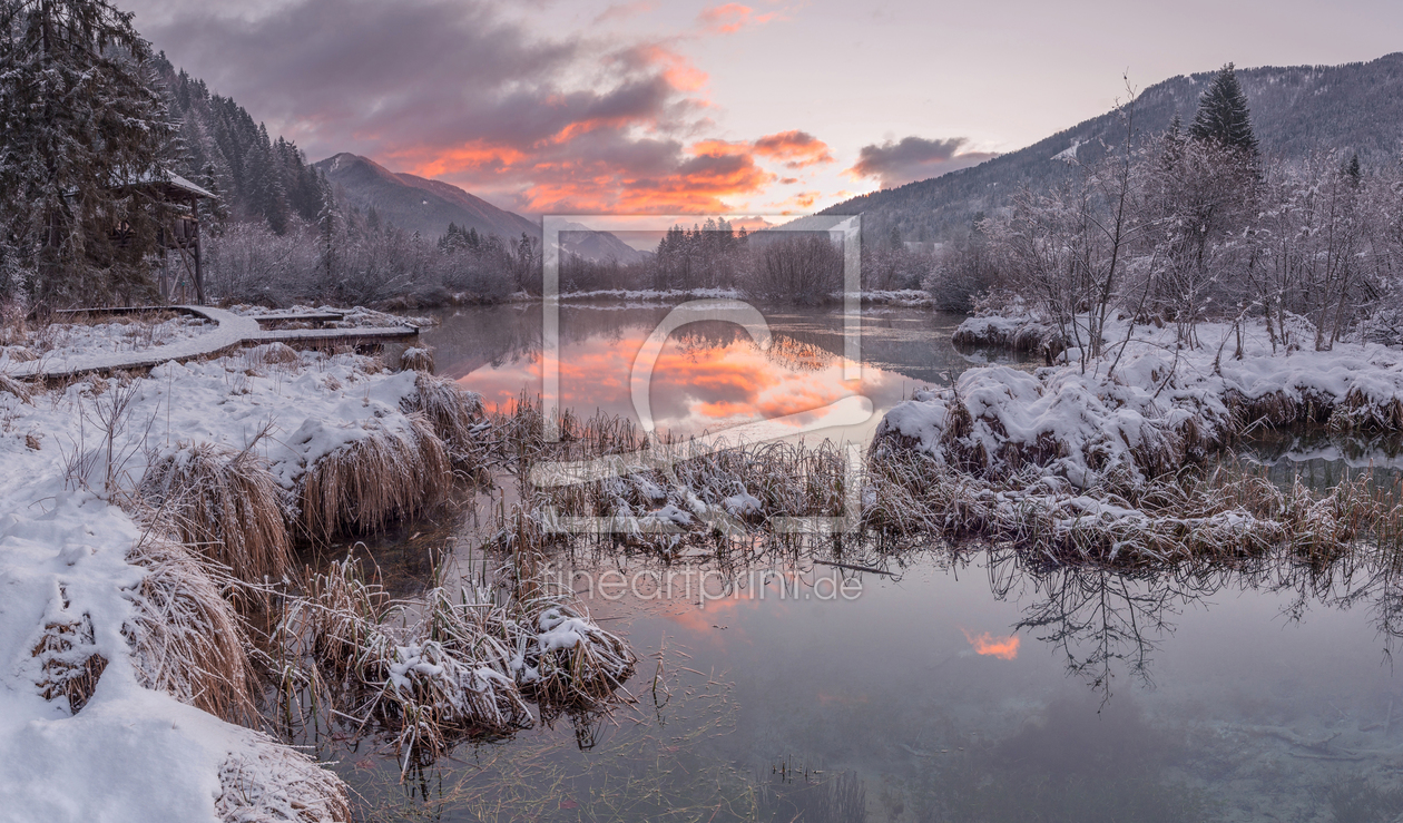 Bild-Nr.: 11869933 Abendrot am winterlichen See Zelenci erstellt von Graphitone