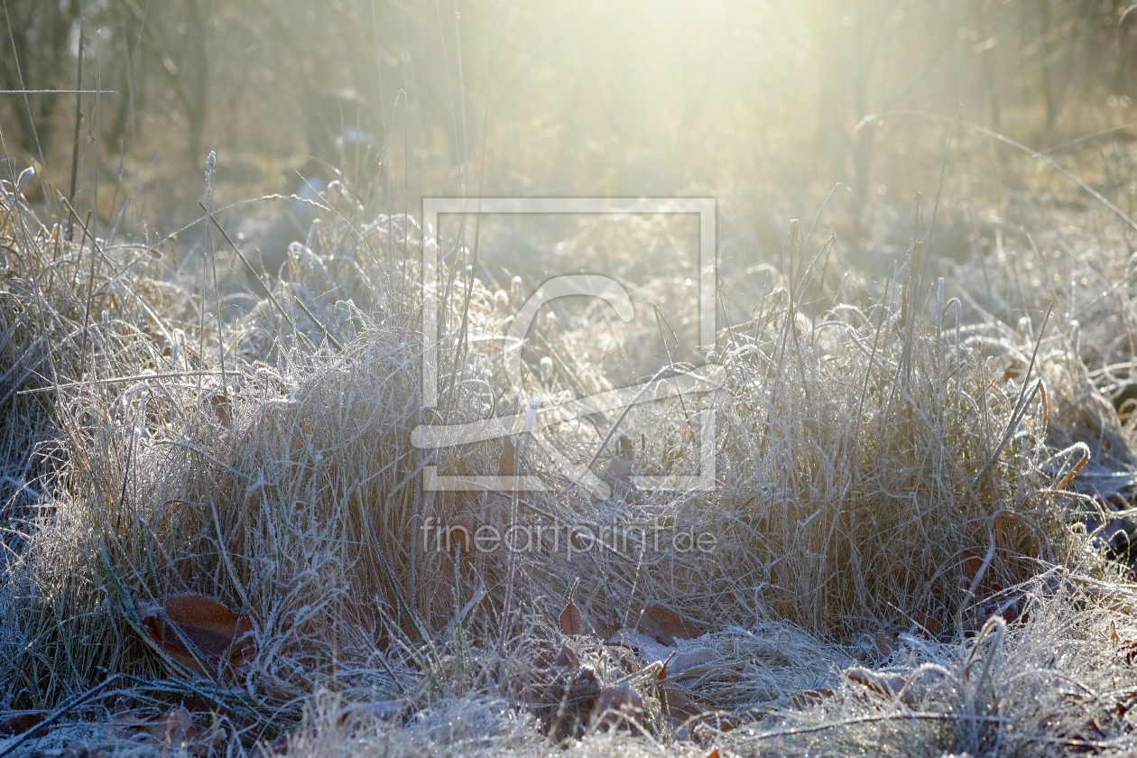 Bild-Nr.: 11869997 Ein glitzener Morgen erstellt von Ostfriese