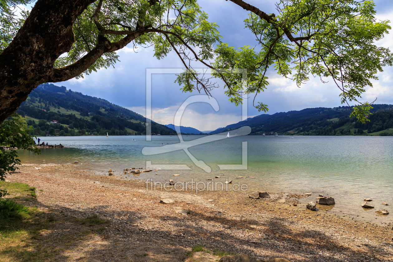 Bild-Nr.: 11870333 Alpsee erstellt von TomKli