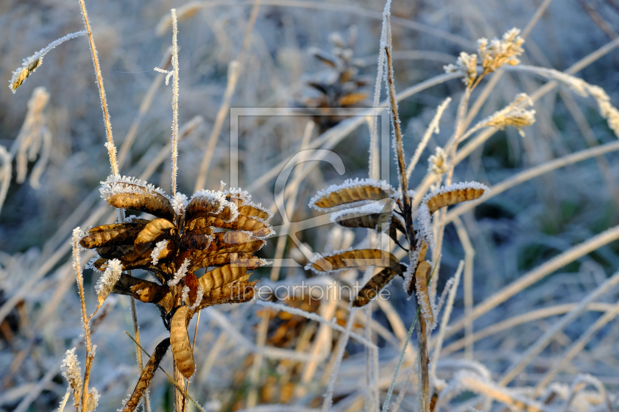 Bild-Nr.: 11870410 Winteridylle erstellt von Ostfriese