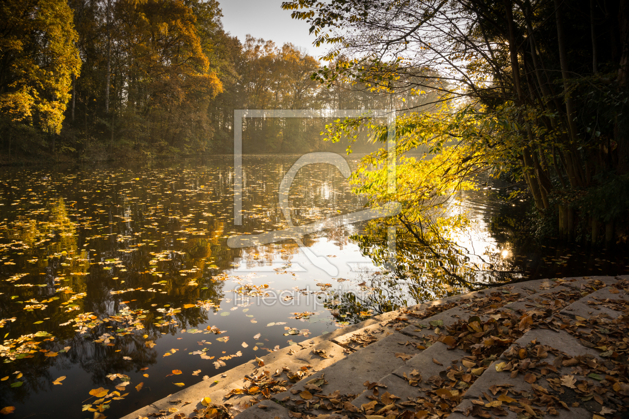 Bild-Nr.: 11870787 Herbststimmung erstellt von Galli