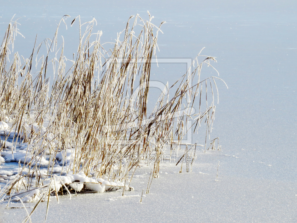 Bild-Nr.: 11871166 Seenufer im Winter erstellt von Ostfriese