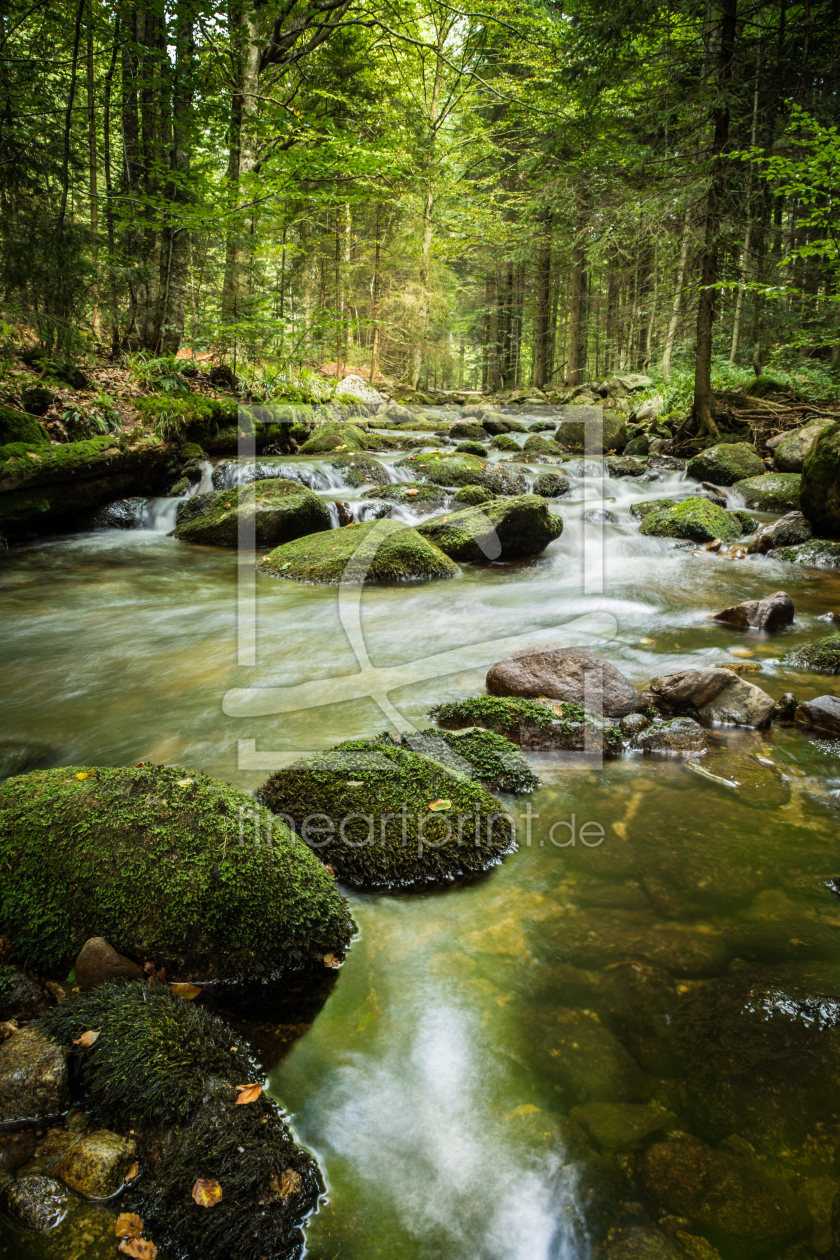 Bild-Nr.: 11871711 Bachlauf im Bayerischer Wald  erstellt von luxpediation