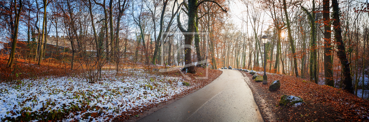 Bild-Nr.: 11871927 Burg im Wald erstellt von SusaZoom