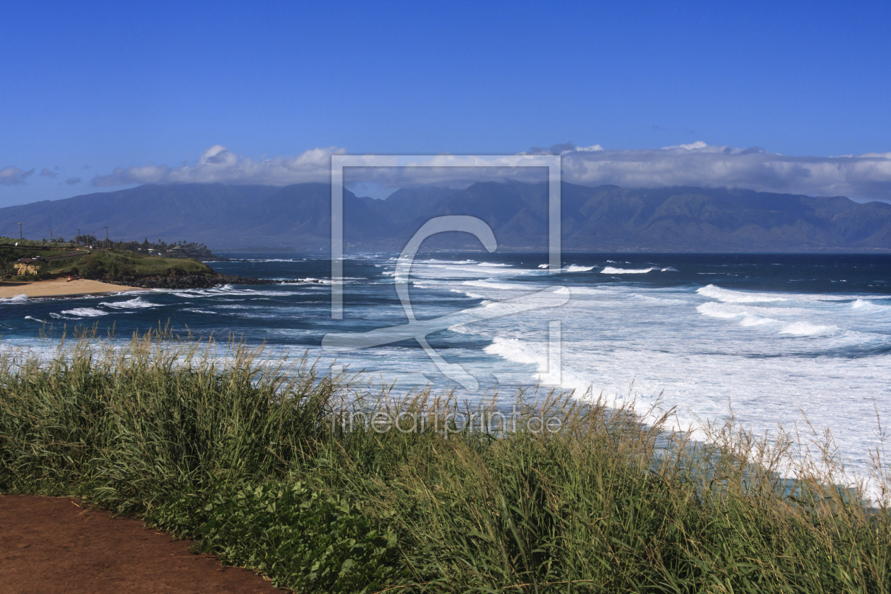 Bild-Nr.: 11872047 Jaws - Maui erstellt von TomKli