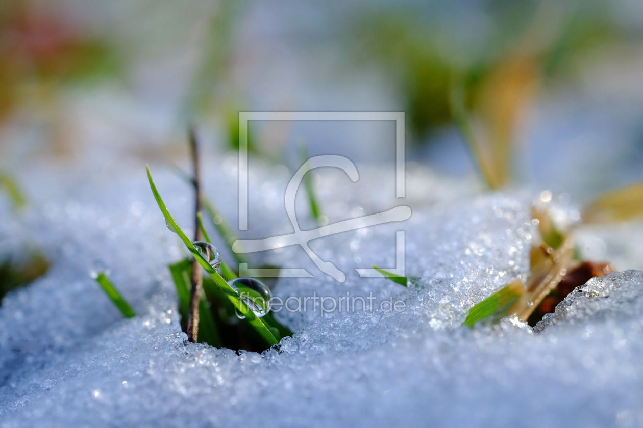 Bild-Nr.: 11872506 Tropfen und Schnee erstellt von Ostfriese