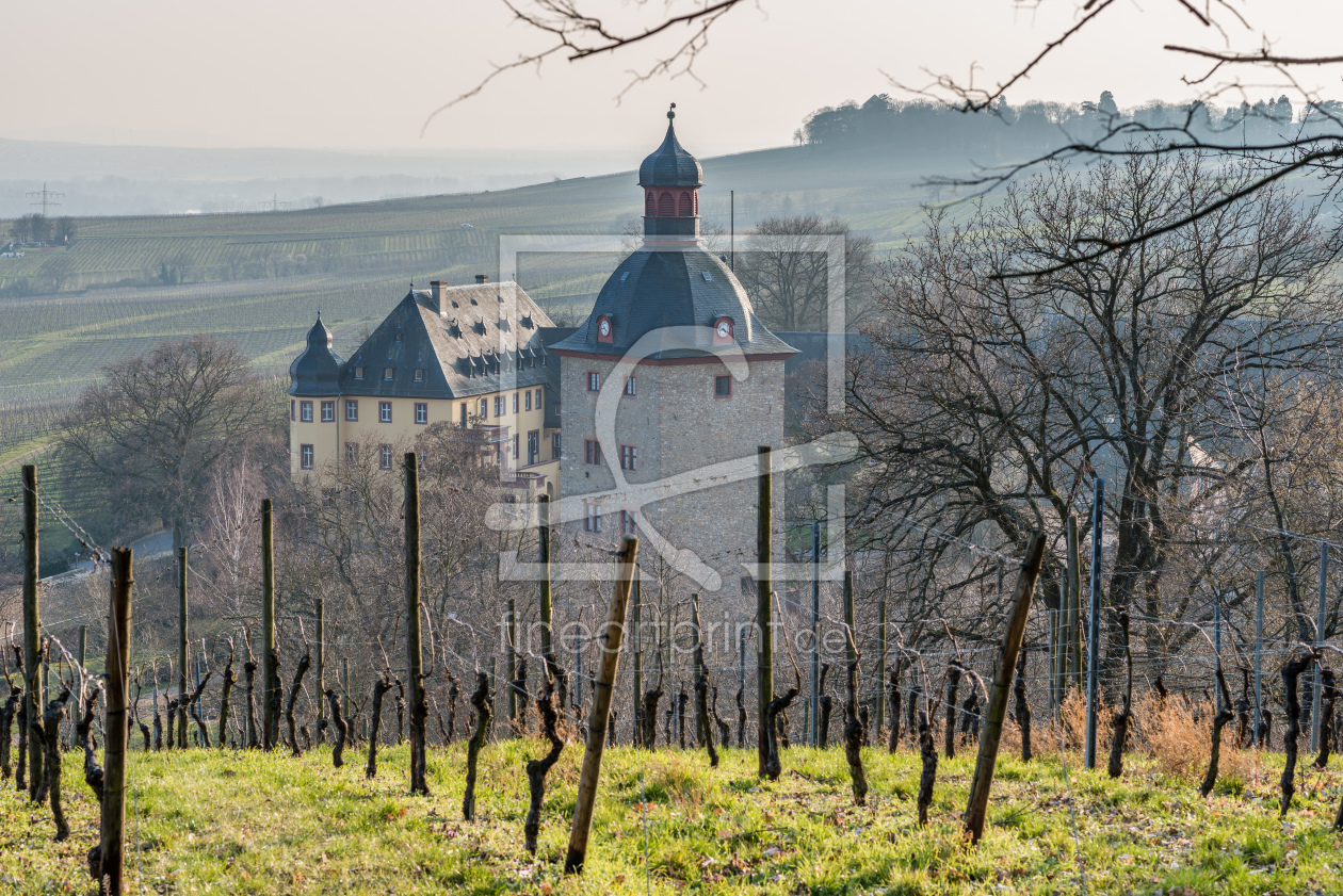 Bild-Nr.: 11872599 Schloss Vollrads im Rheingau 25 erstellt von Erhard Hess