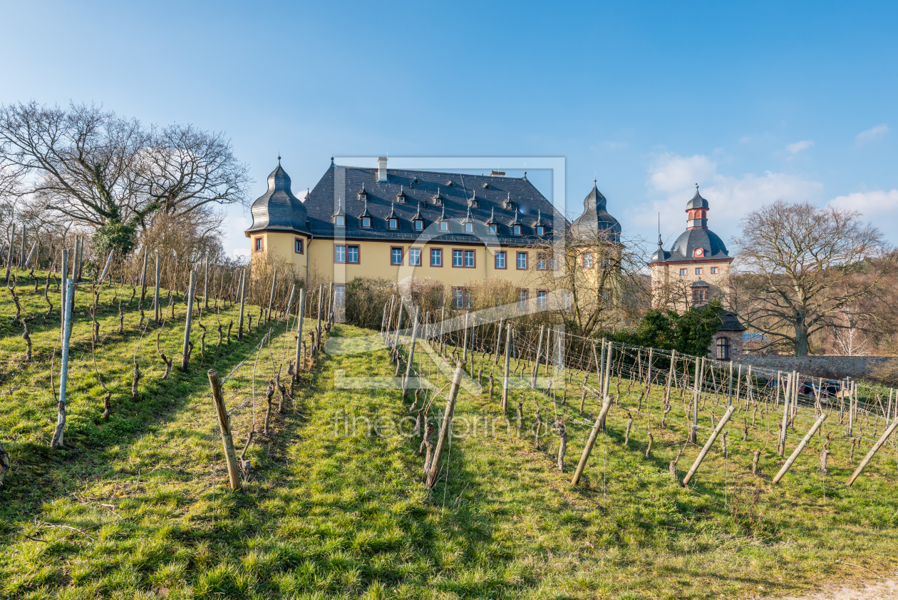 Bild-Nr.: 11872615 Schloss Vollrads im Rheingau 90 erstellt von Erhard Hess