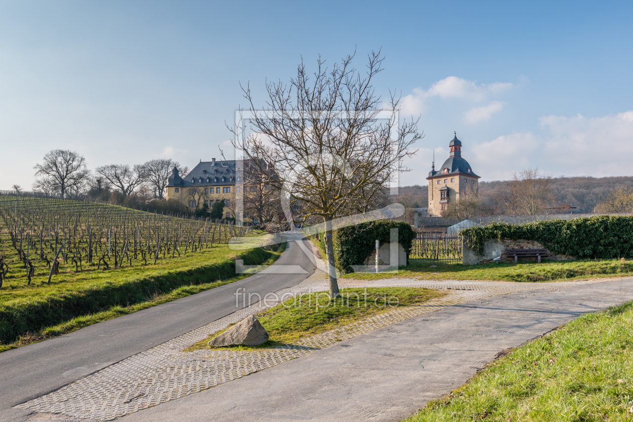 Bild-Nr.: 11872859 Schloss Vollrads im Rheingau 86 erstellt von Erhard Hess