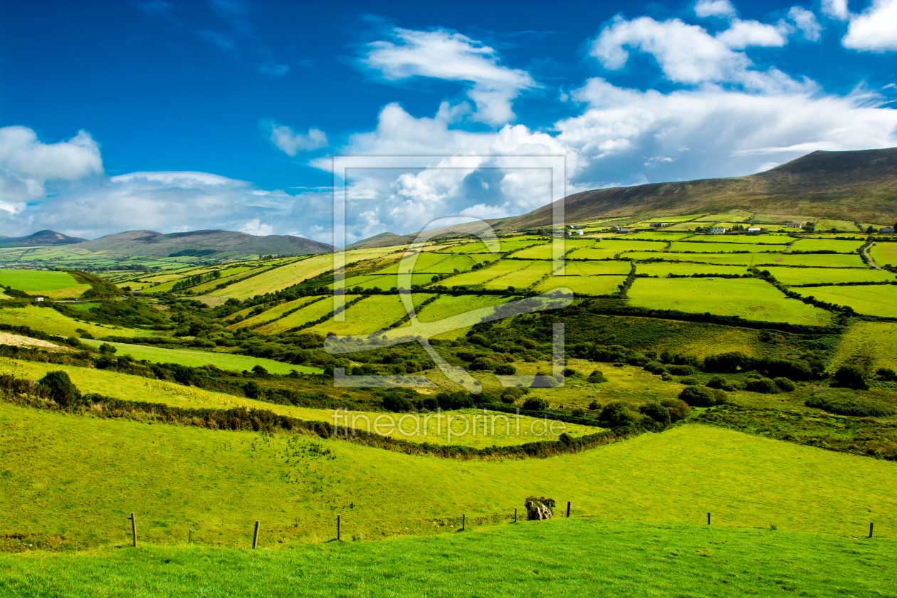 Bild-Nr.: 11872882 Landschaft mit Weiden in Irland  erstellt von grafxart