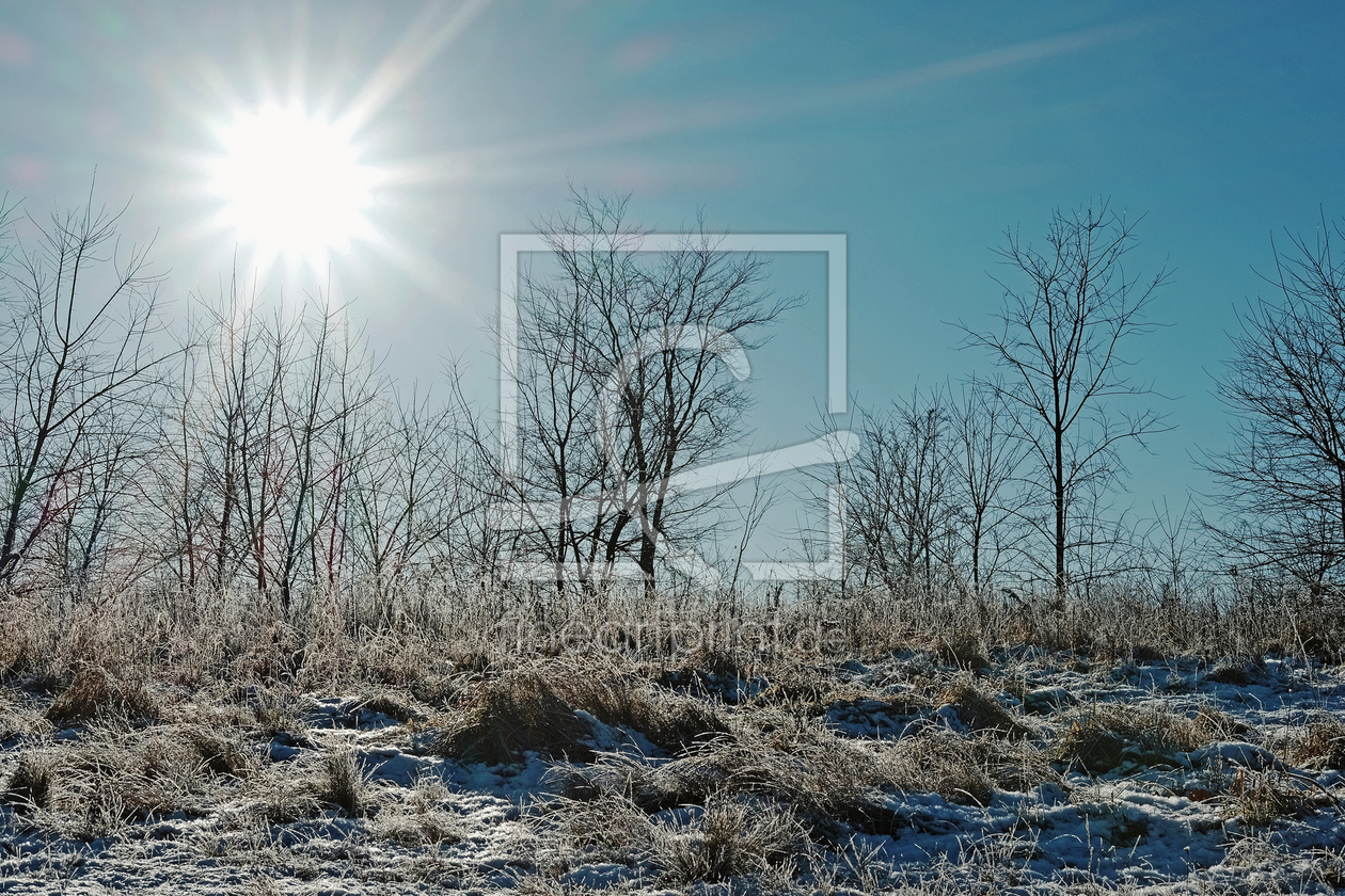 Bild-Nr.: 11873328 Wintermittagssonne erstellt von Ostfriese
