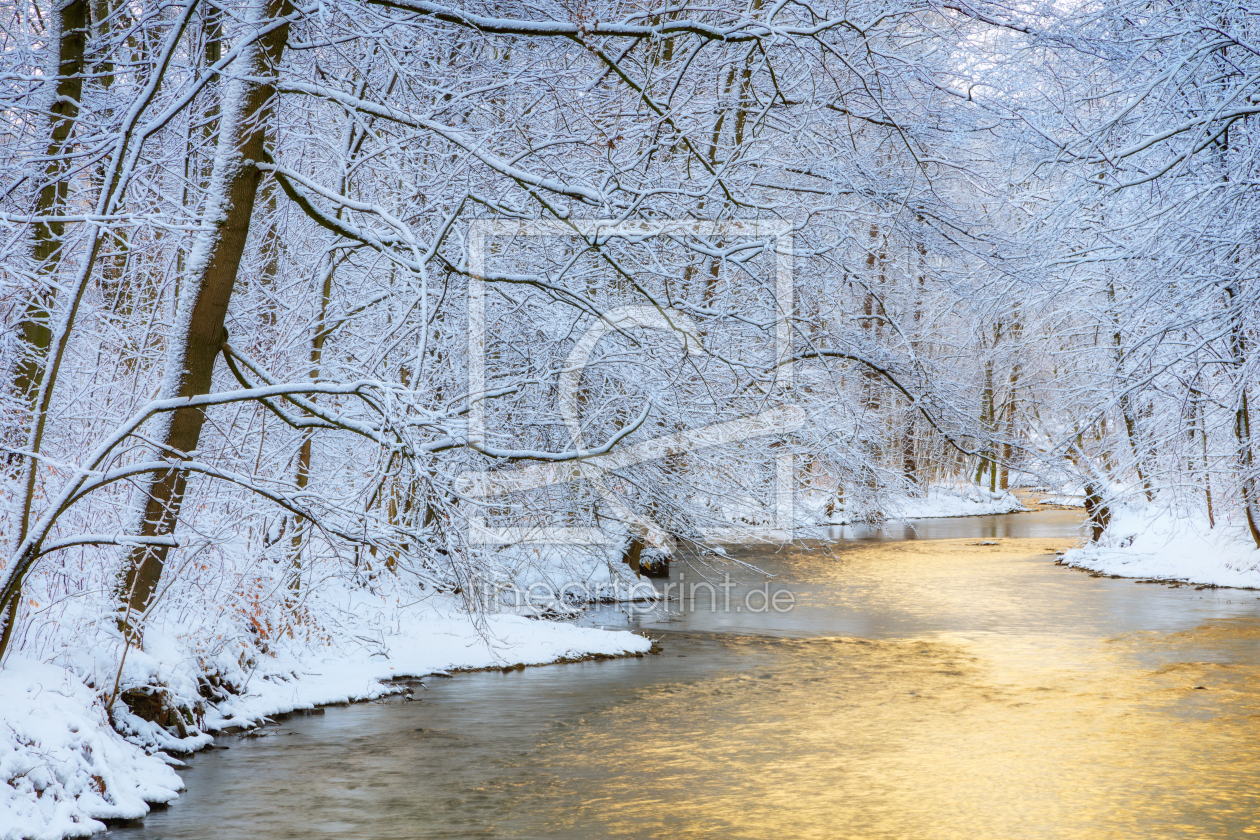 Bild-Nr.: 11873929 Goldfluss im Winterwald erstellt von Daniela Beyer