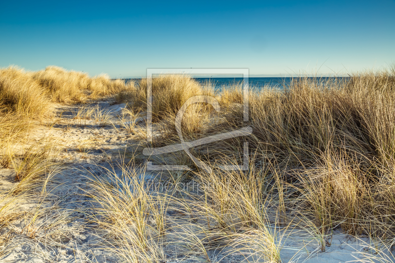 Bild-Nr.: 11874338 Stranddüne erstellt von Ursula Reins