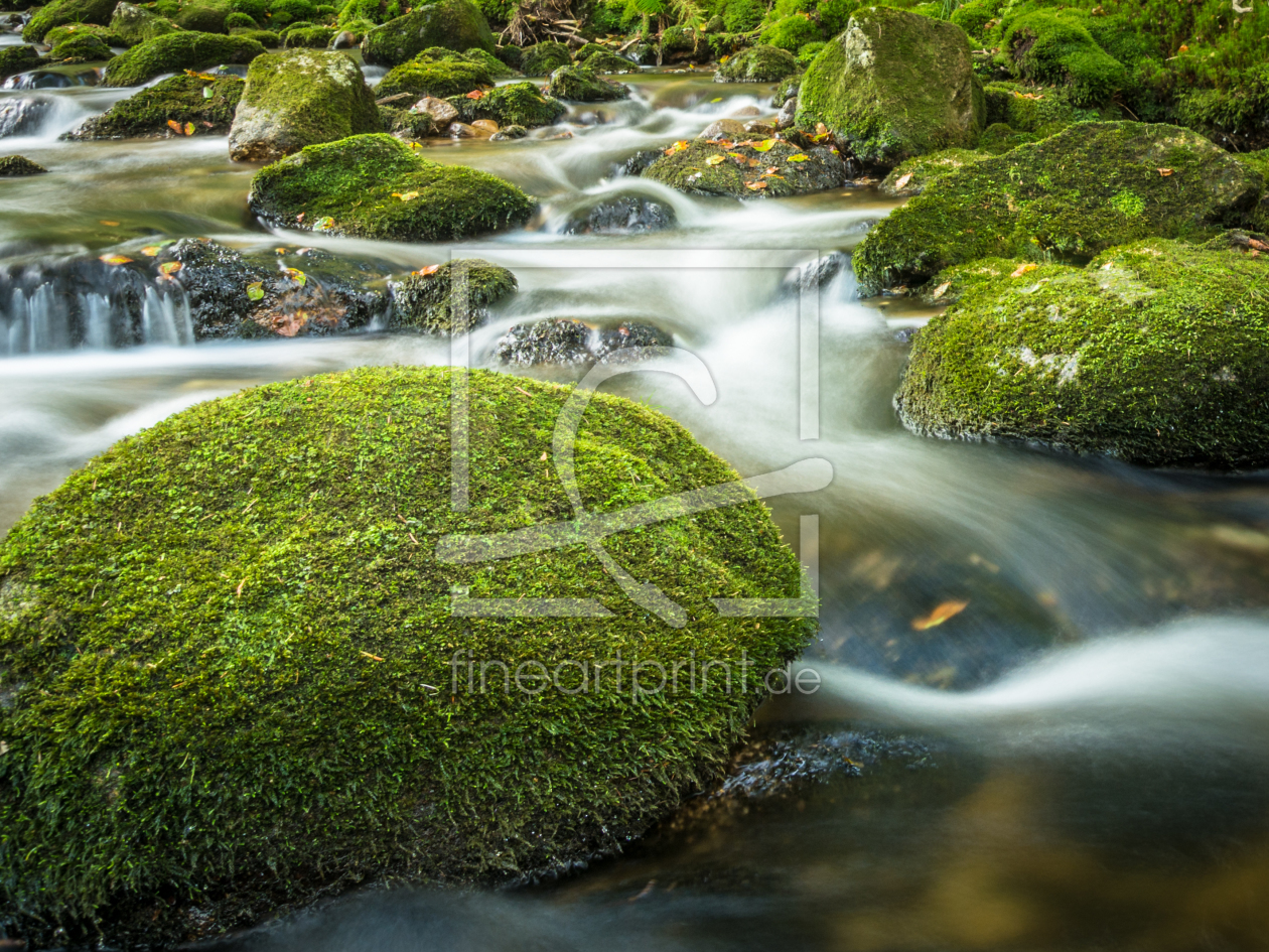 Bild-Nr.: 11874720 Moos und Steine im Wildwasser erstellt von luxpediation