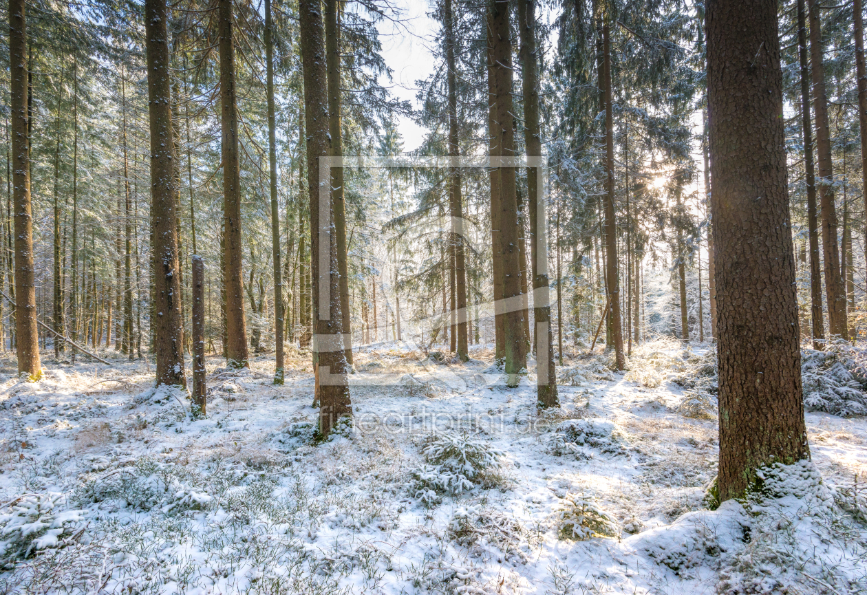 Bild-Nr.: 11875101 Der Winter ist eingezogen erstellt von hannes cmarits