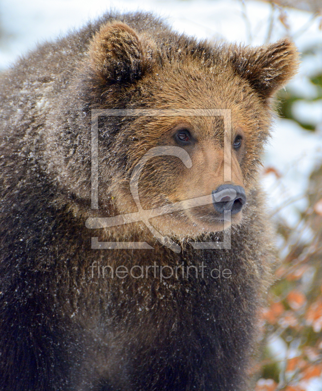 Bild-Nr.: 11875676 Winterbär erstellt von GUGIGEI