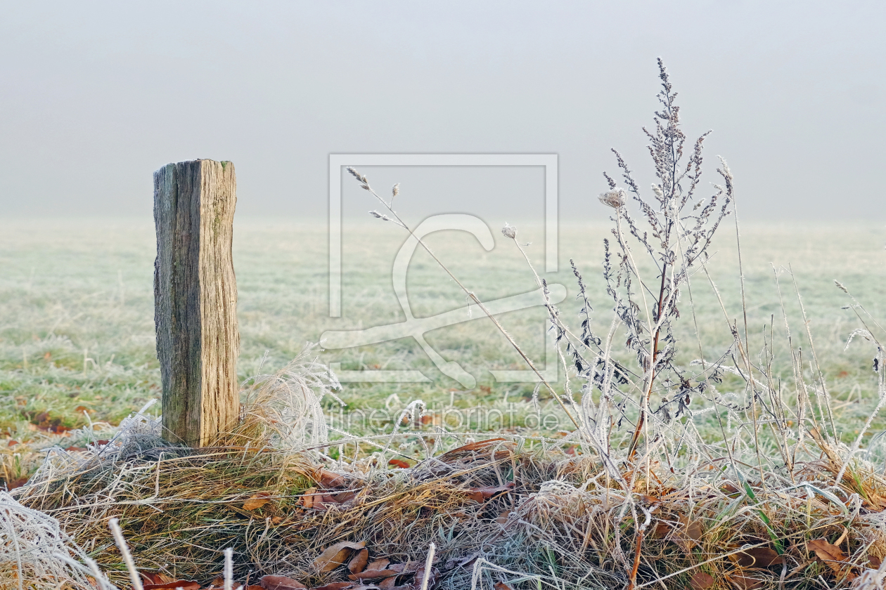 Bild-Nr.: 11875801 Winterruhe erstellt von Ostfriese