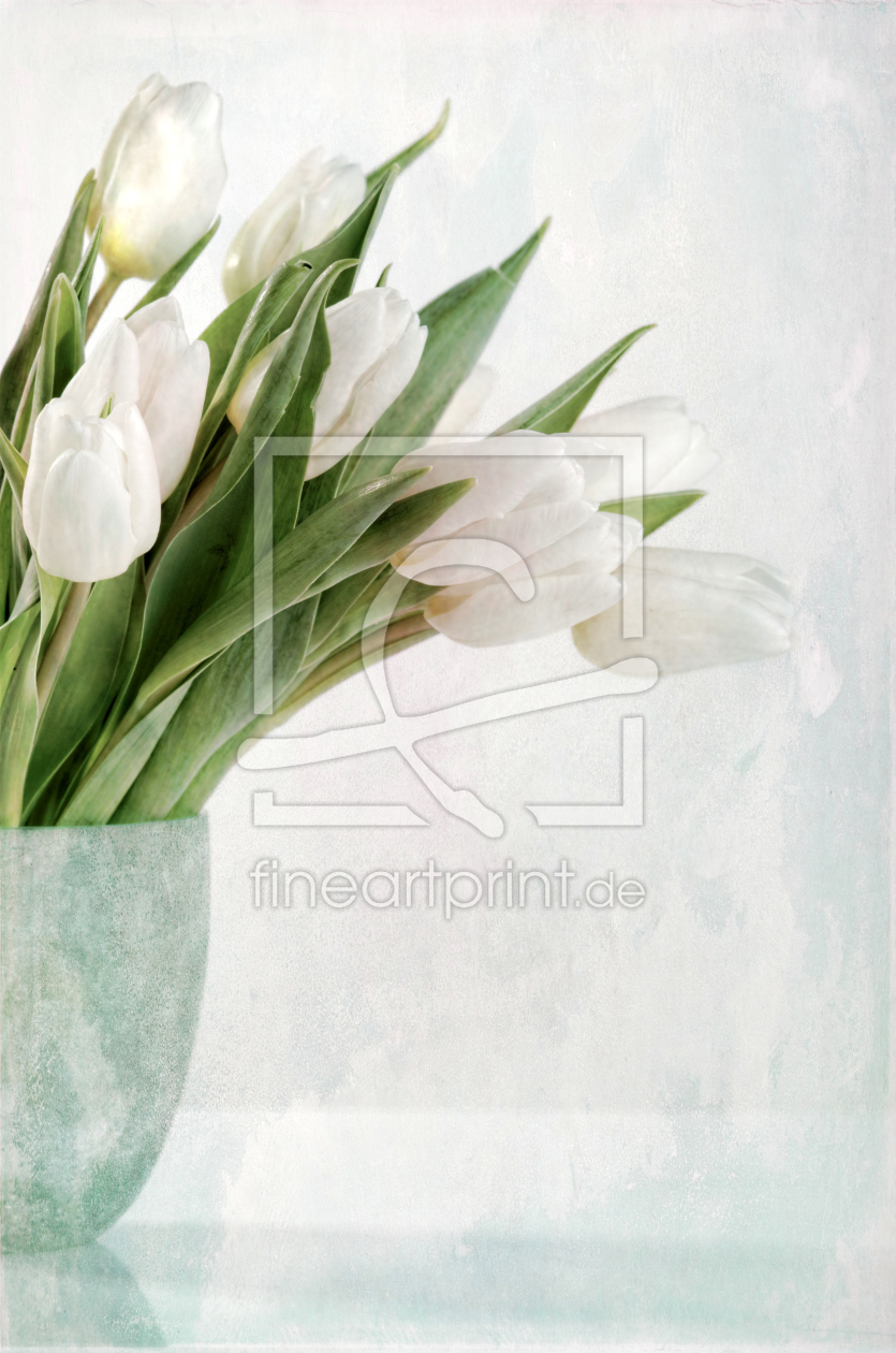 Bild-Nr.: 11876630 luminous tulips erstellt von Rolf Eschbach