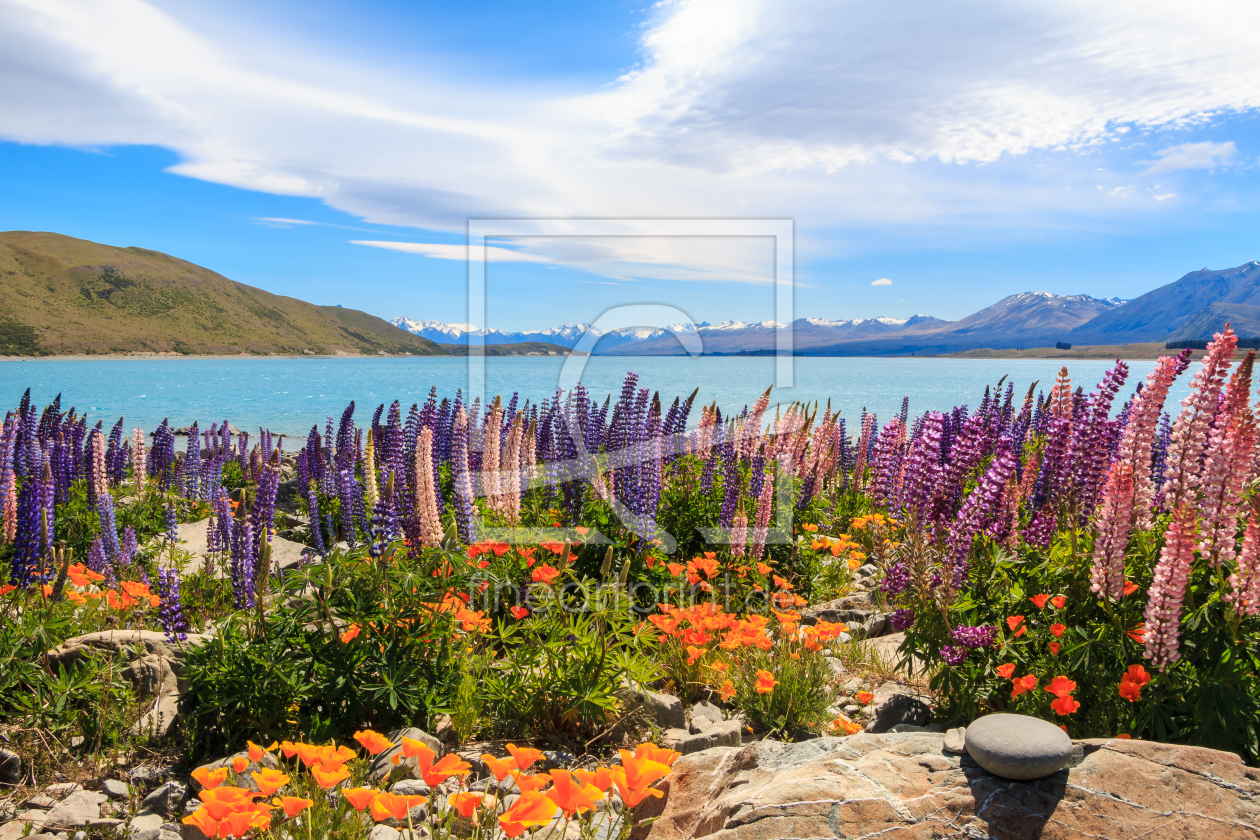 Bild-Nr.: 11877365 Lake Tekapo erstellt von DM88