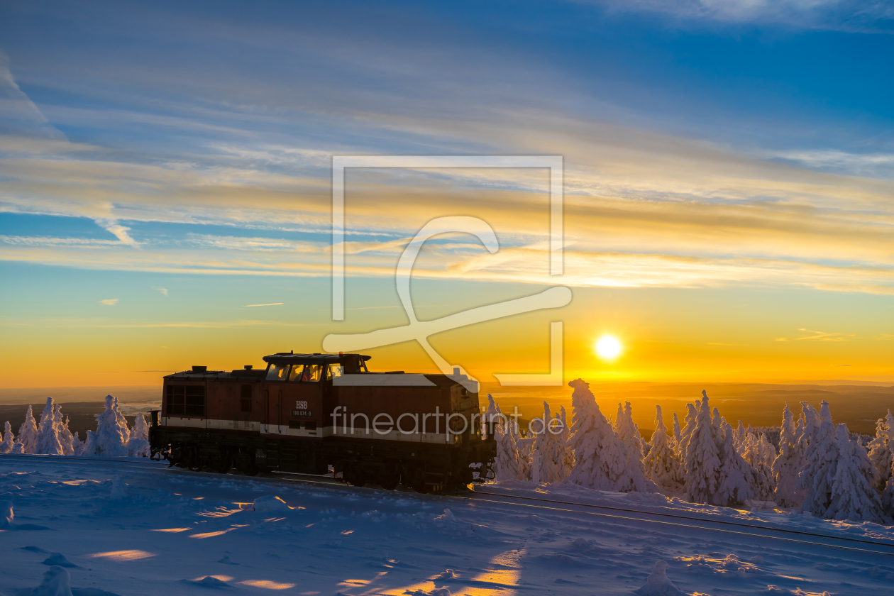 Bild-Nr.: 11877446 Ein einsames Harzkamel bei Sonnenaufgang erstellt von KundenNr-329836