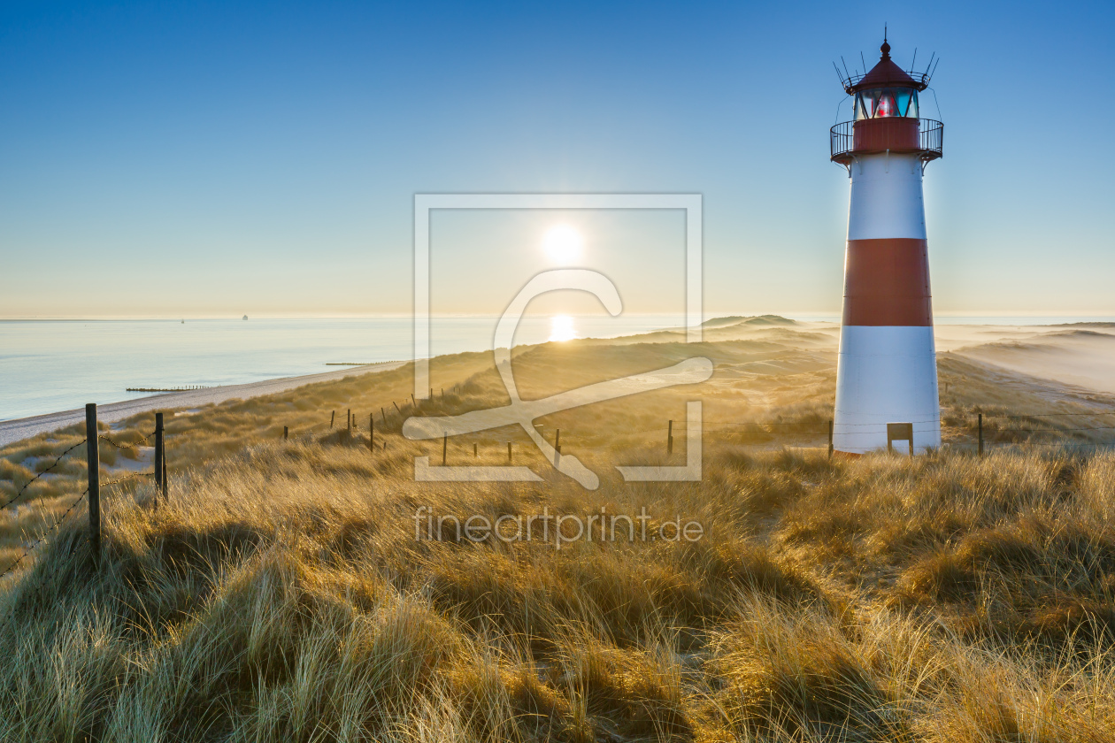 Bild-Nr.: 11879525 Sunshine on Sylt   - 2 - erstellt von Ursula Reins