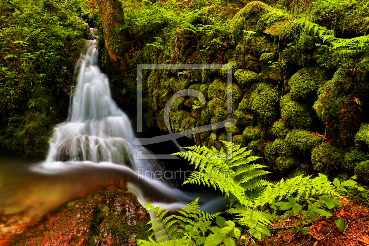 Bild-Nr.: 11882089 Wasserfall an der Brücke erstellt von Thomas Herzog