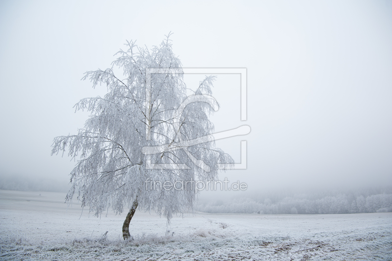 Bild-Nr.: 11882112 Winterbaum Bild-Nr.: 11882112 Winterbaum erstellt von Fototommi