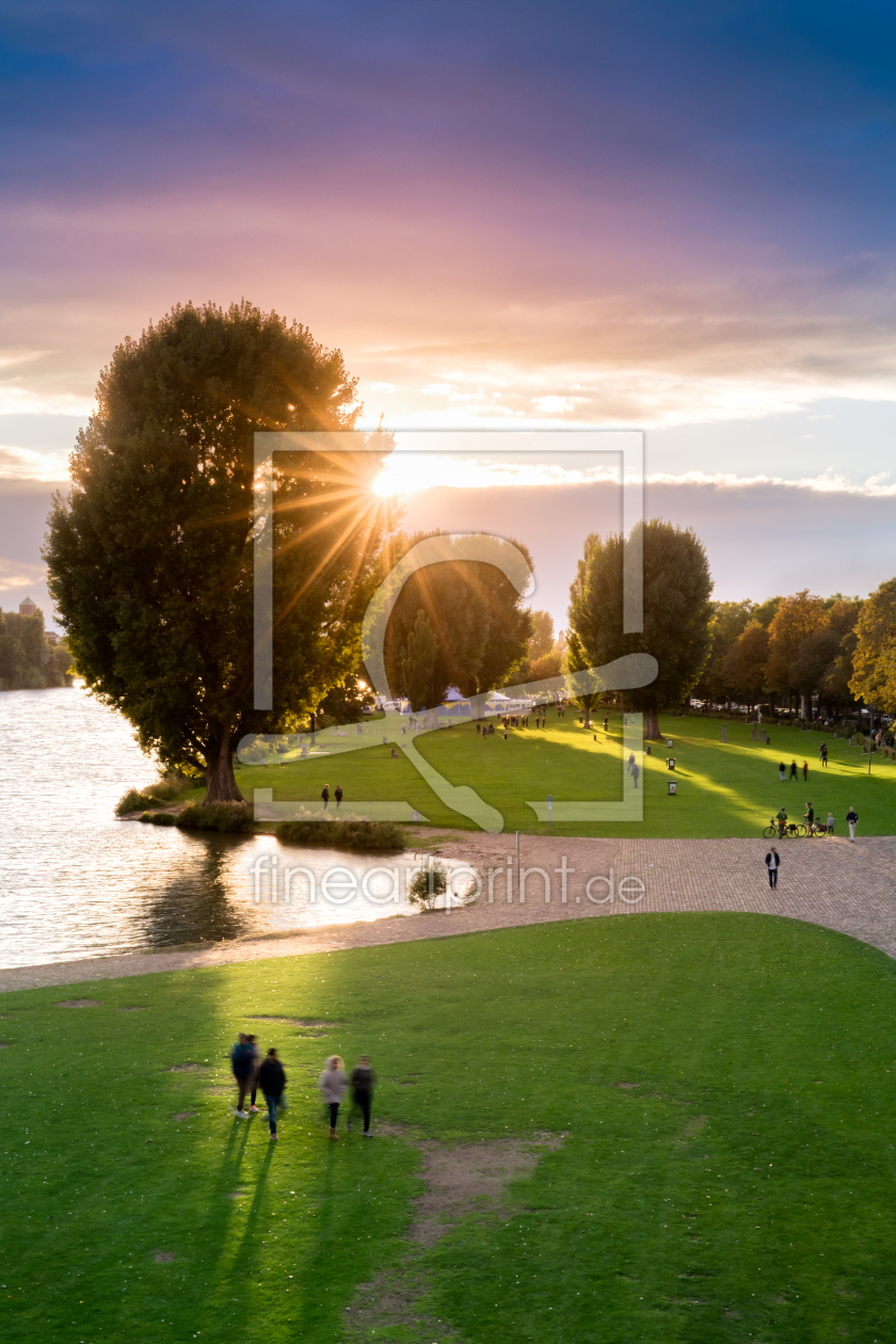 Bild-Nr.: 11882450 Heidelberg Neckarwiese bei Sonnenuntergang erstellt von eyetronic