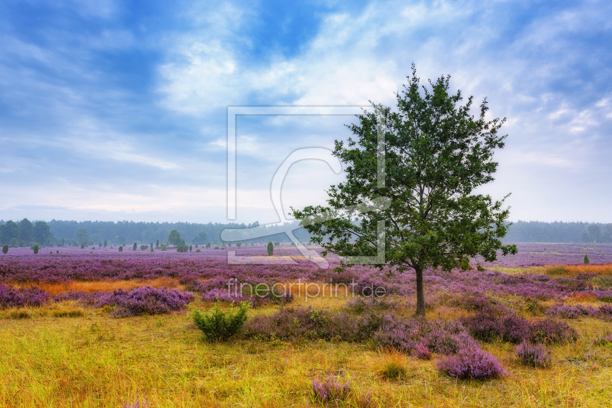 Bild-Nr.: 11882698 Heidefarben Bild-Nr.: 11882698 Heidefarben erstellt von Daniela Beyer