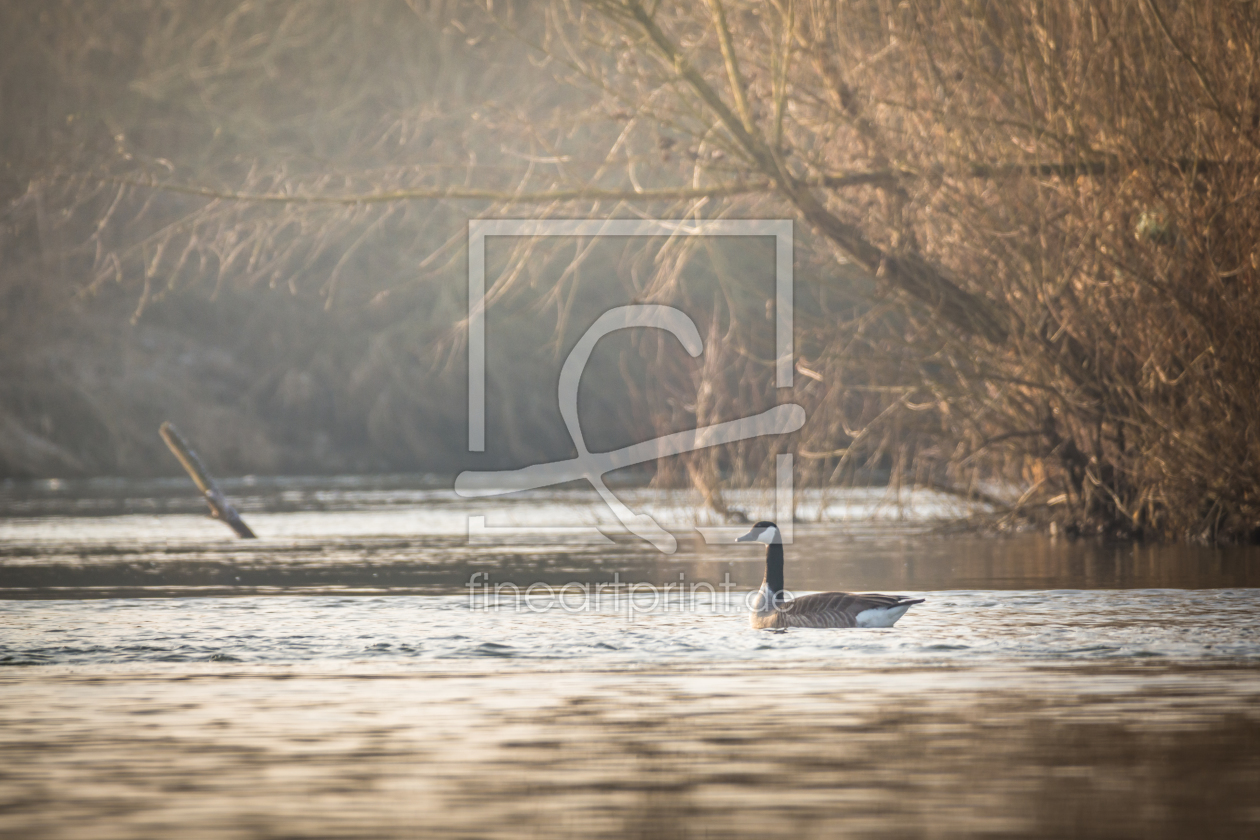 Bild-Nr.: 11884031 Sonnenstrahlen am Fluss erstellt von luxpediation