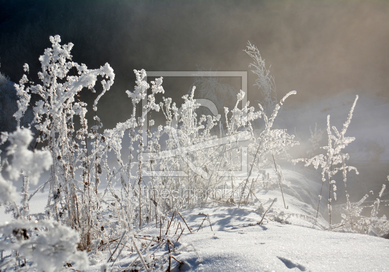 Bild-Nr.: 11884555 its cold erstellt von GUGIGEI