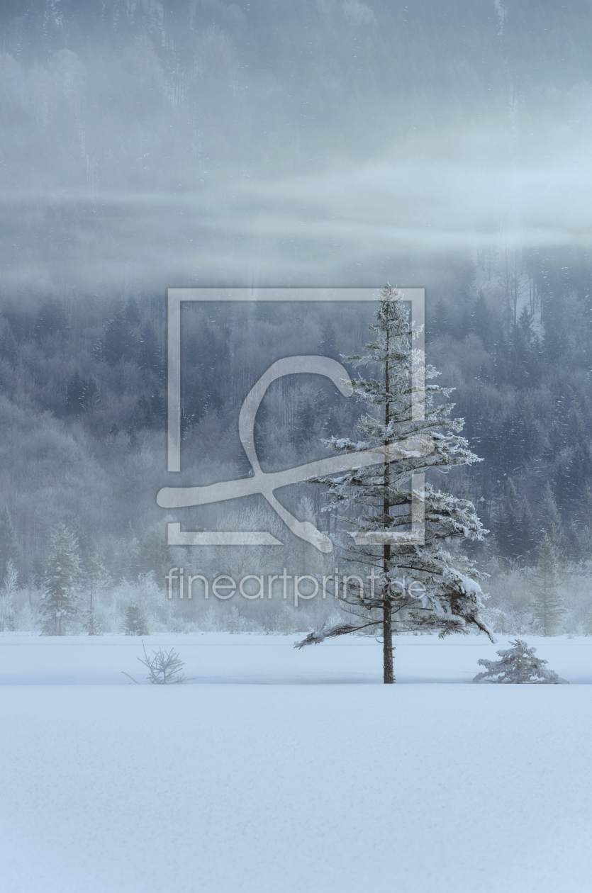 Bild-Nr.: 11884850 Baum im Winter erstellt von Simon  Bauer