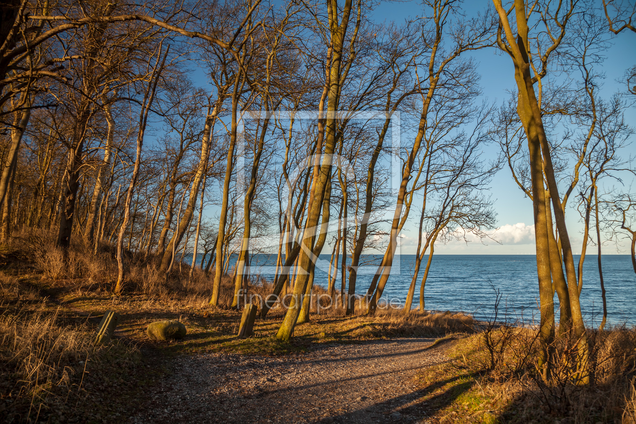 Bild-Nr.: 11886485 Bäume am Meer erstellt von FotoDeHRO