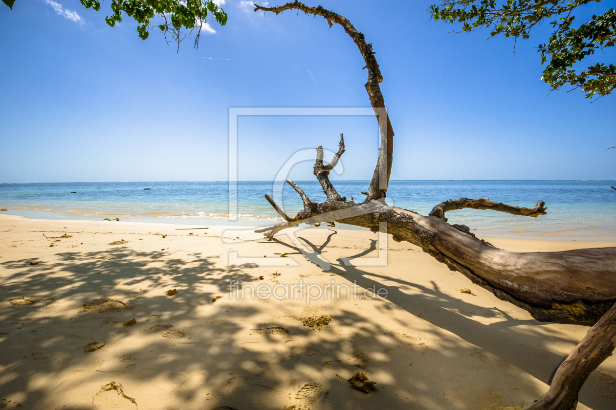 Bild-Nr.: 11886828 Strandlandschaft erstellt von KundenNr-160338